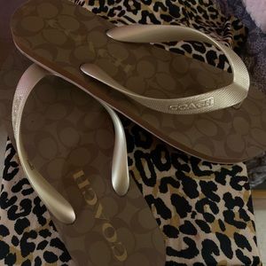 Coach flip flops